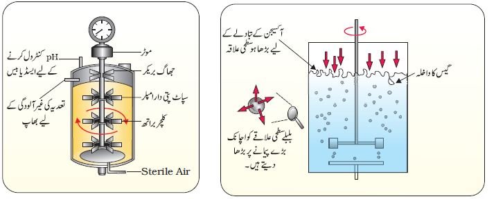 pic 9 chapter 11