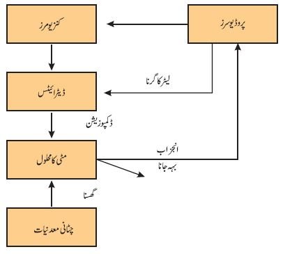 PIC 11 CHAPTER 14