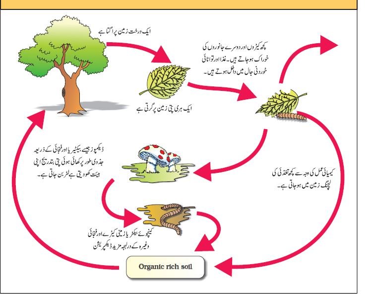 PIC 2 CHAPTER 14