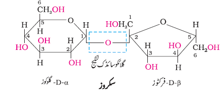 CH14-24