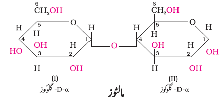 CH14-25