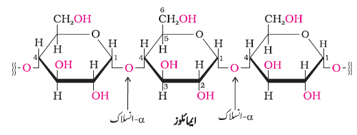 CH14-27