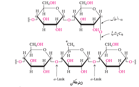 CH14-28