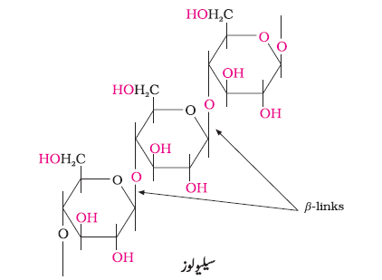 CH14-29