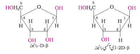 CH14-49
