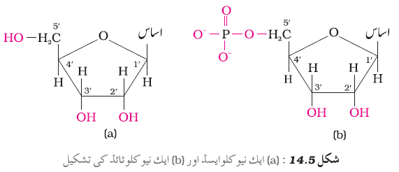 CH14-52