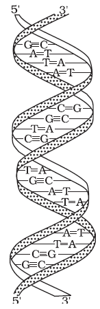 CH14-55