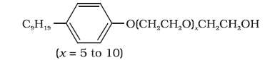 c16-24