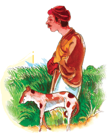 50