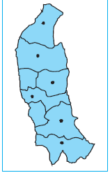 amib