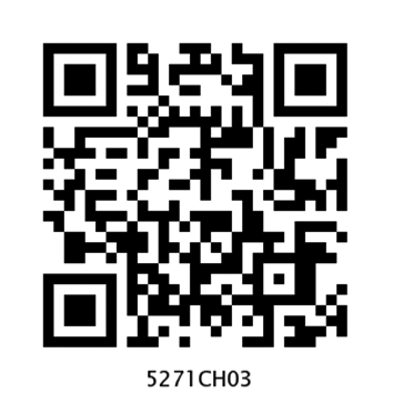 5271CH03