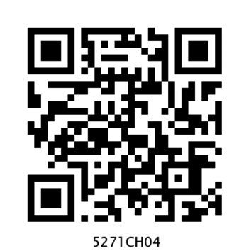 5271CH04
