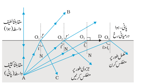BAC